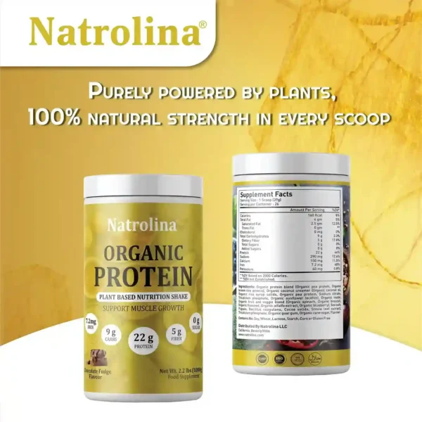 Natrolina Plant Based Organic Protein Powder Chocolate Fudge-03