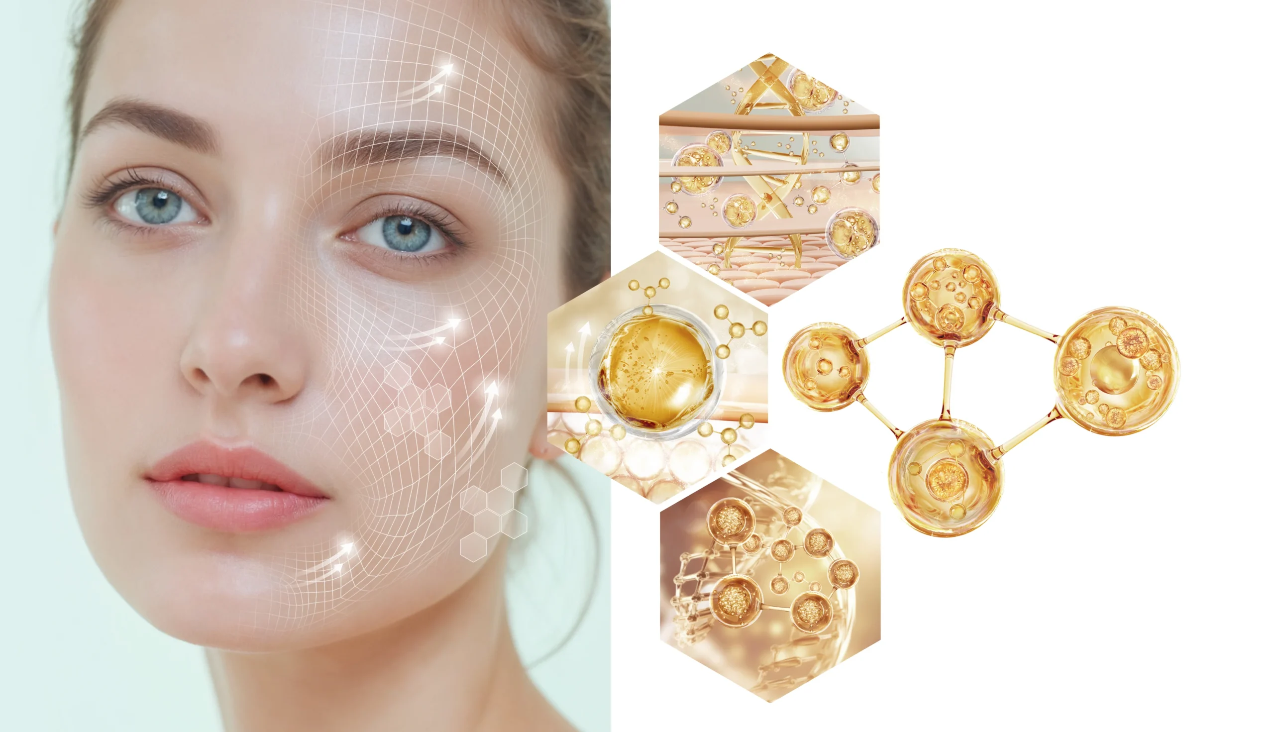 Collagen Benefit Images